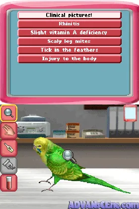 Paws & Claws - Pet Vet 2 (USA) screen shot game playing